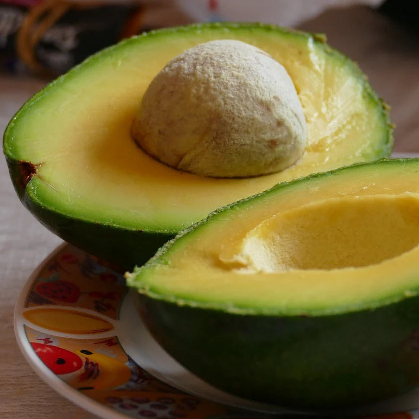 Hashimoto Avocado Box of 20 - PREORDER - Sending 13th Jan | Spray Free