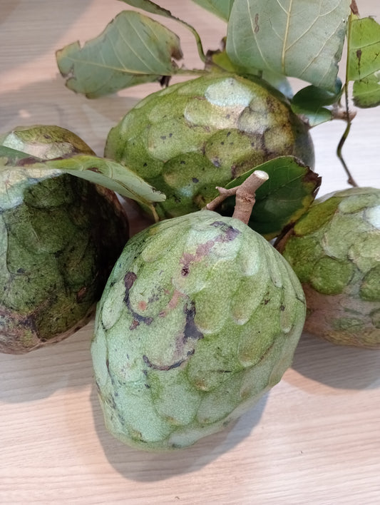 Organic Cherimoya - (Custard Apple)   Very Limited Supply - 2kg Left!