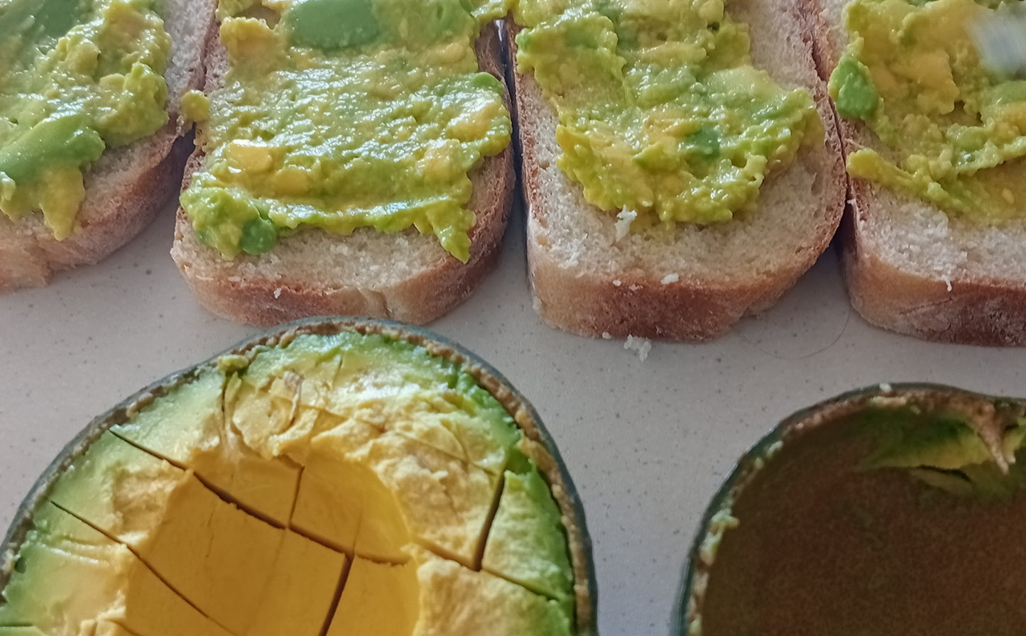 Hashimoto Avocado Box of 4 - PREORDER - Sending 13th Jan | Spray Free