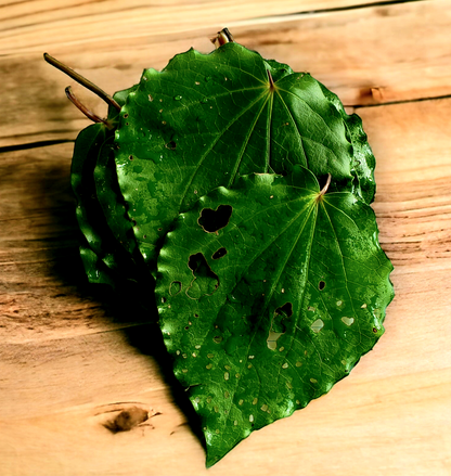 Kawakawa Leaf