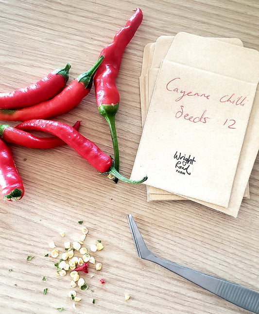 Cayenne Chilli Seeds 12 Seeds