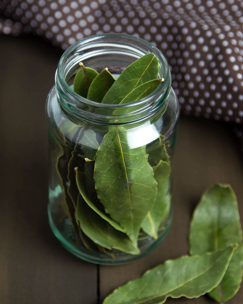 Fresh Bay Leaves