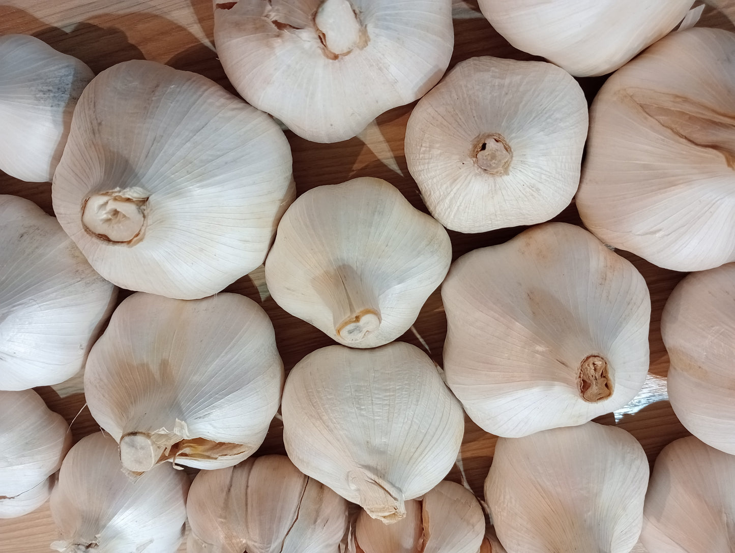 New Season NZ Elephant Garlic | Spray-free, organically grown | 500g