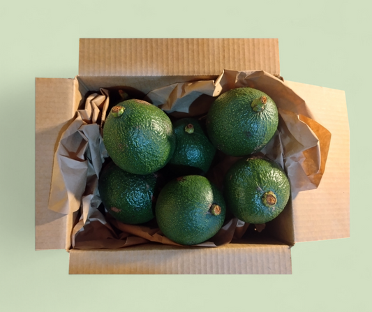 Box of green avocados on a light green background