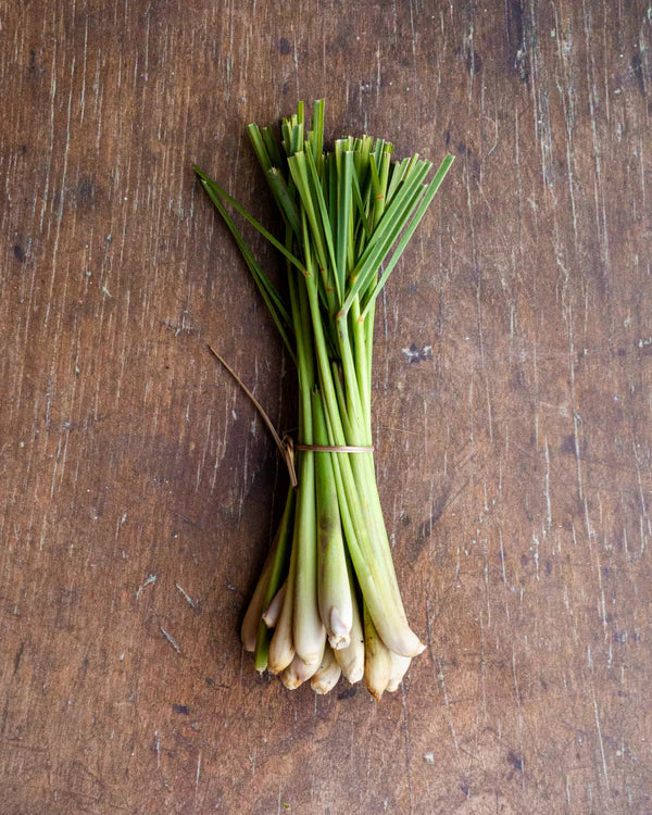 Fresh Lemongrass (8 Stems)