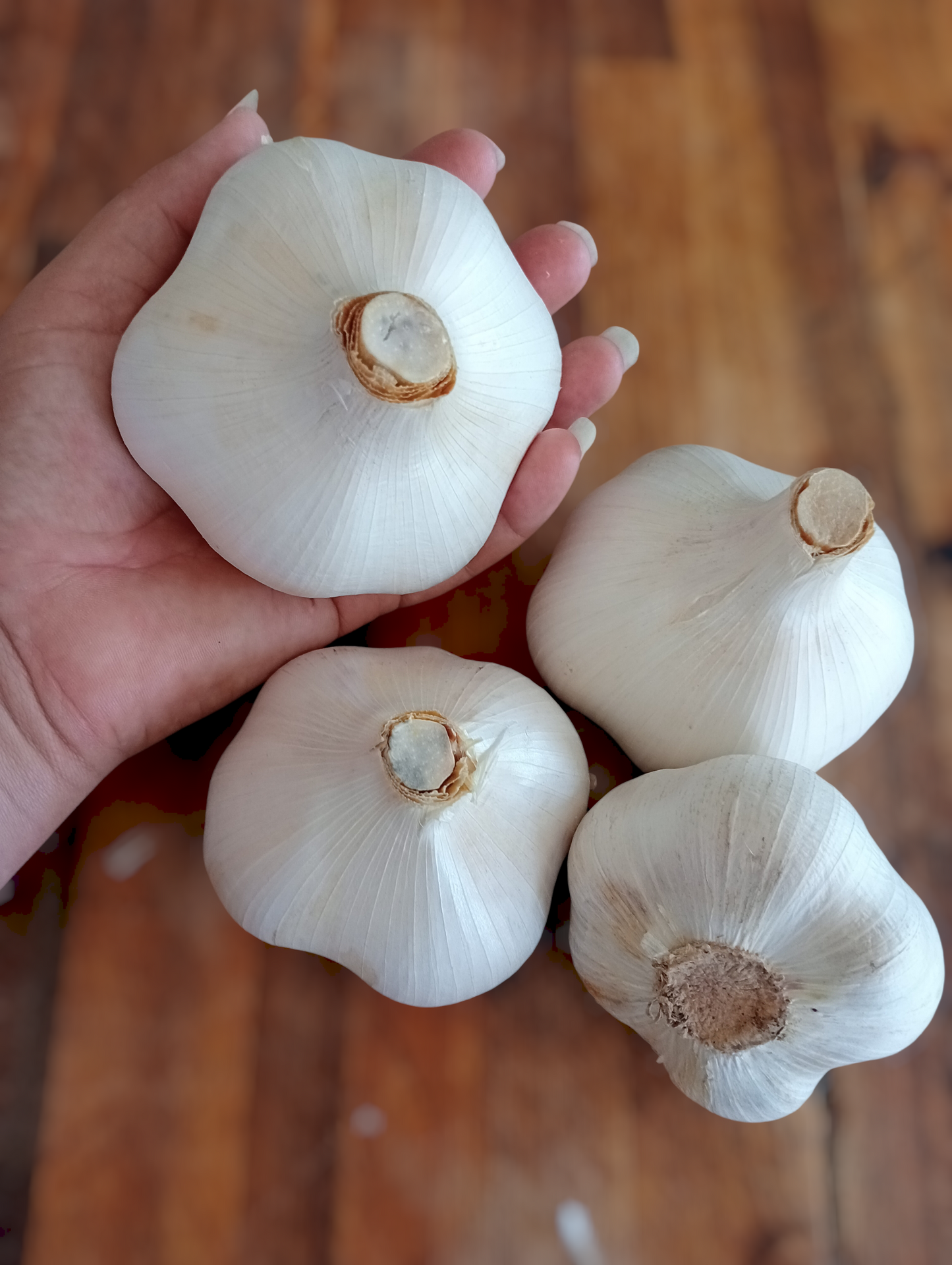 200g Elephant Garlic – Big Bulbs | Spray Free
