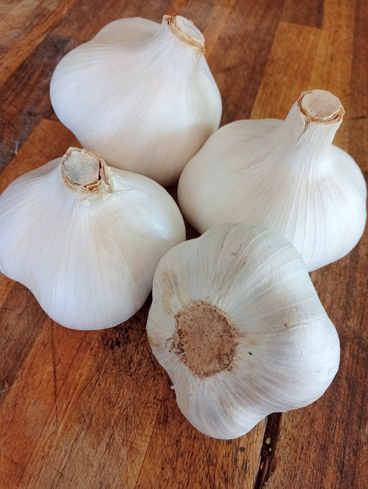 300g Organically Grown, Spray Free Elephant Garlic